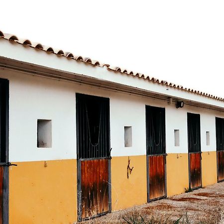 Vila Finca El Cerco A 5M De Puy Du Fou Y 10M A Casco Antiguo De Toledo Argés Exteriér fotografie