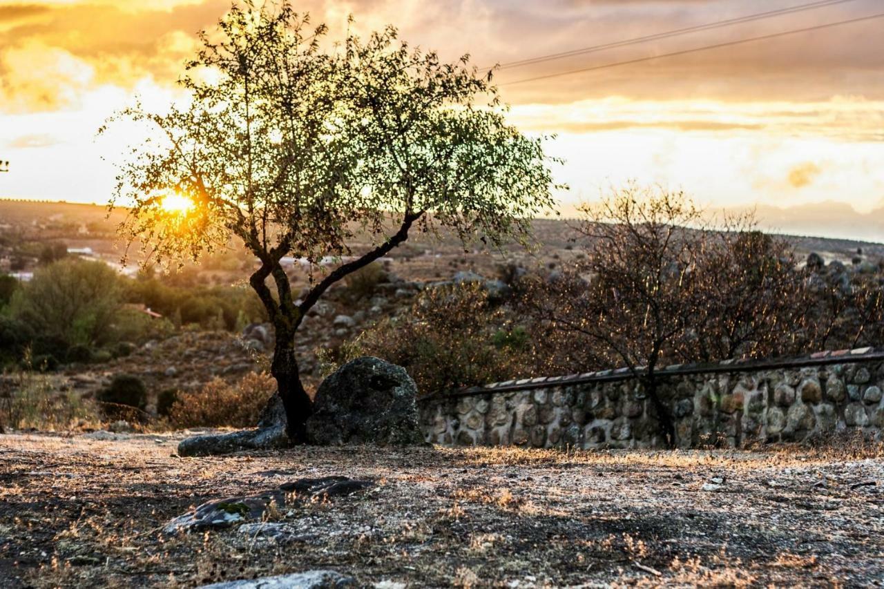 Vila Finca El Cerco A 5M De Puy Du Fou Y 10M A Casco Antiguo De Toledo Argés Exteriér fotografie