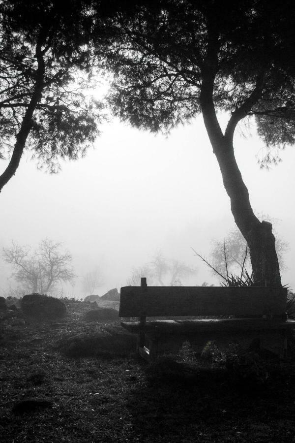 Vila Finca El Cerco A 5M De Puy Du Fou Y 10M A Casco Antiguo De Toledo Argés Exteriér fotografie